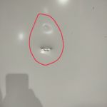 BERTL26BINFI25020014